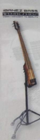 ibanez upright bass.jpeg
