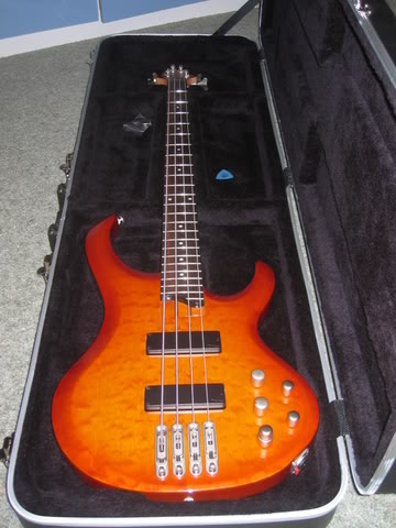 Ibanez003.jpg