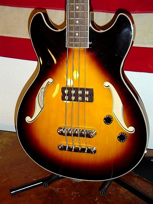 ibanez1.jpg