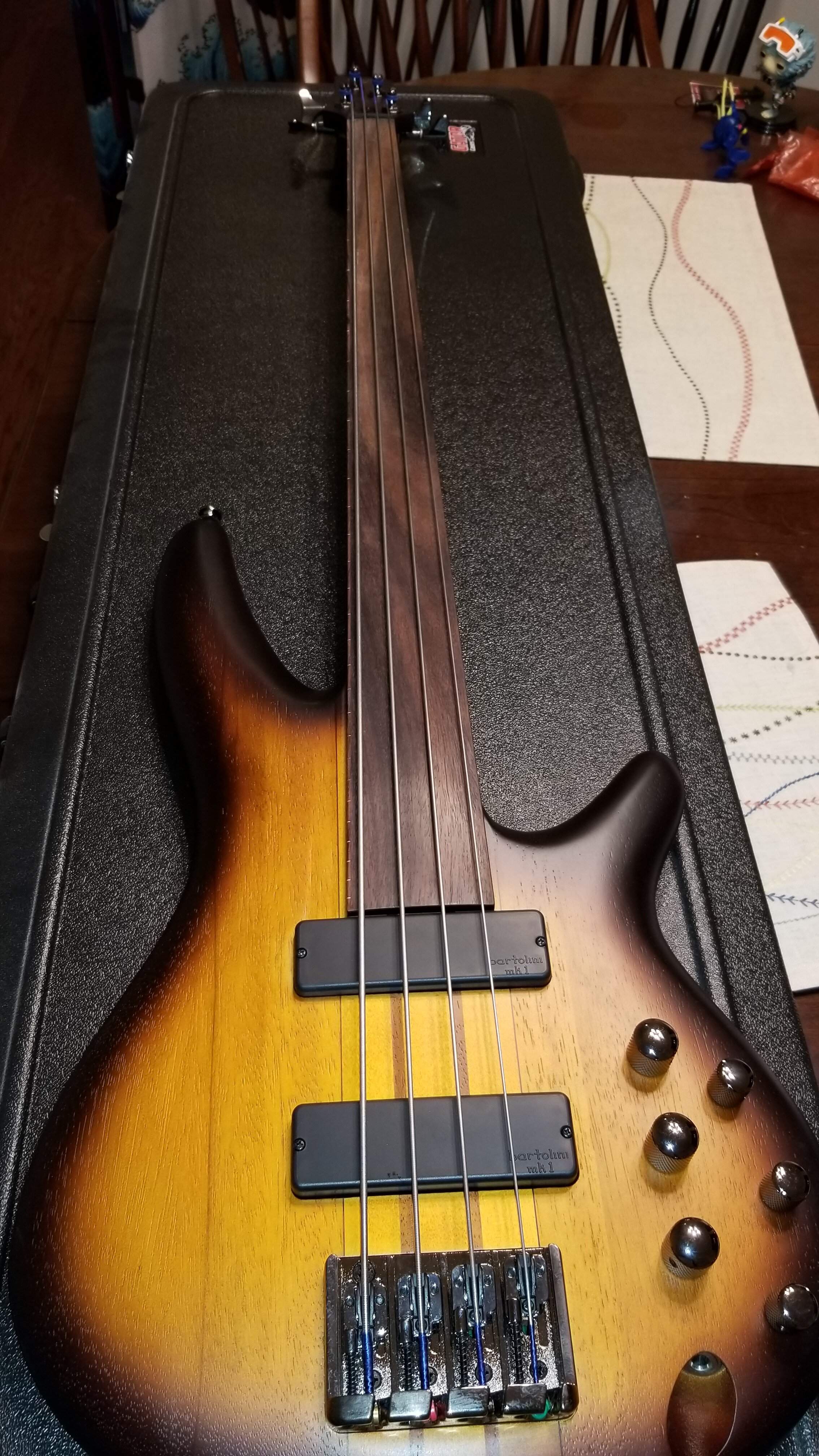 Ibanez1.jpg