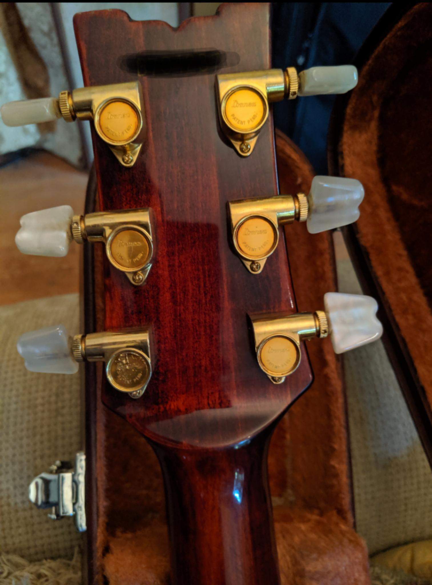 Ibanez1.JPG