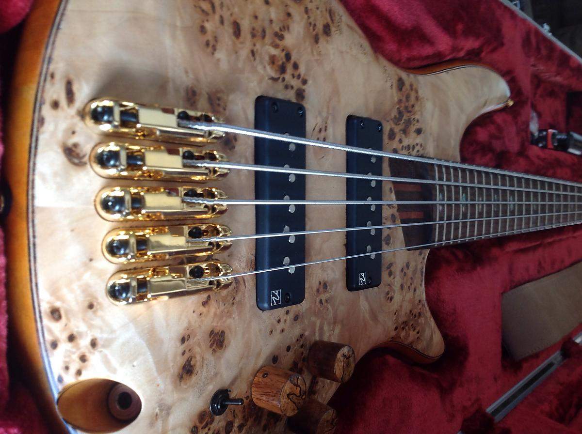 Ibanez1605.jpg