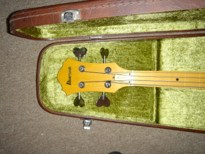 ibanez1_B.jpg
