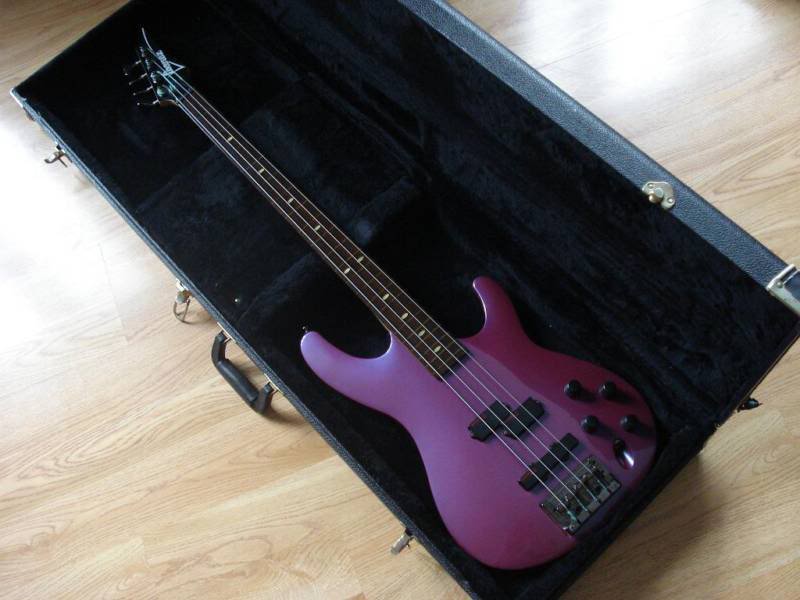 ibanez2.jpg