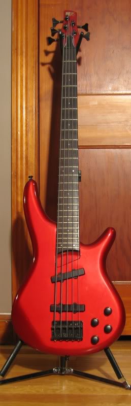 Ibanez2.jpg