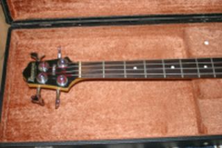 Ibanez2.jpg