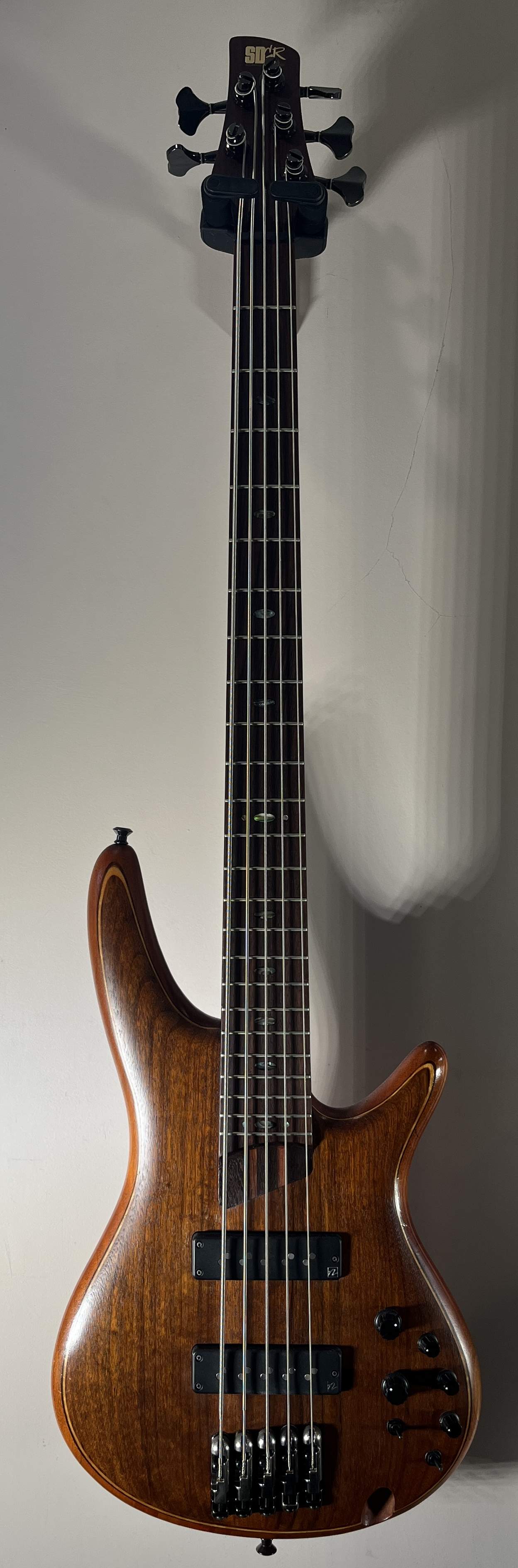Ibanez2.jpg