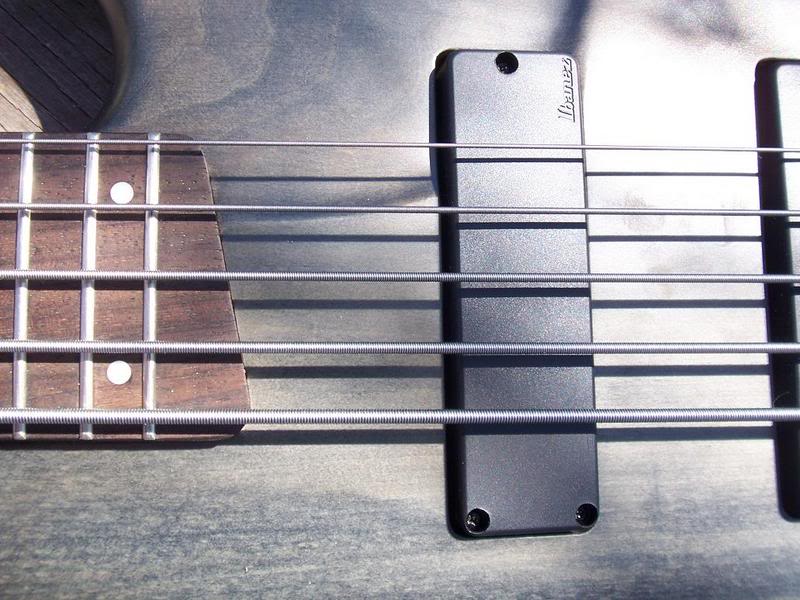Ibanez6.jpg
