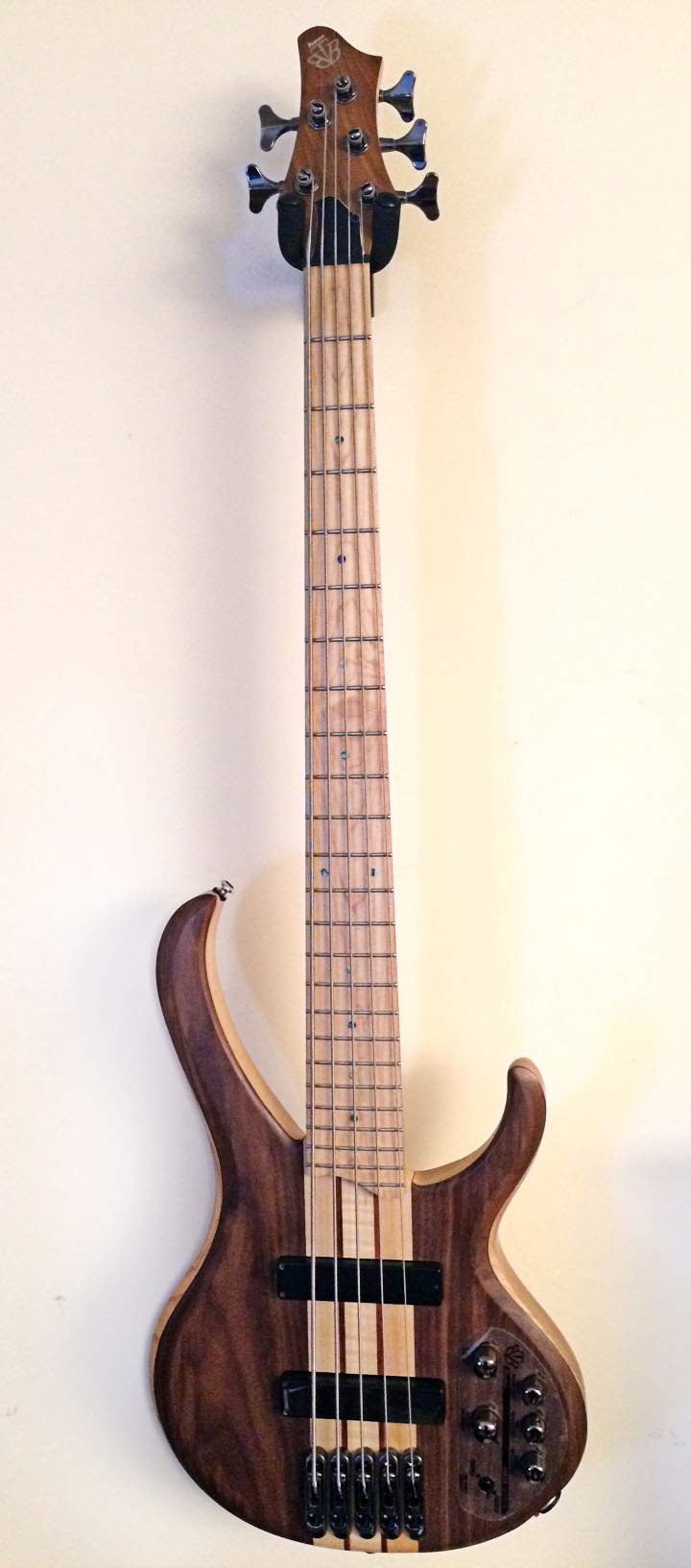 Ibanez_full.jpg