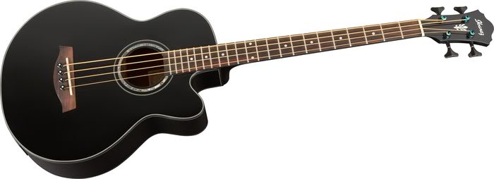 Ibanezacoustic2.jpg