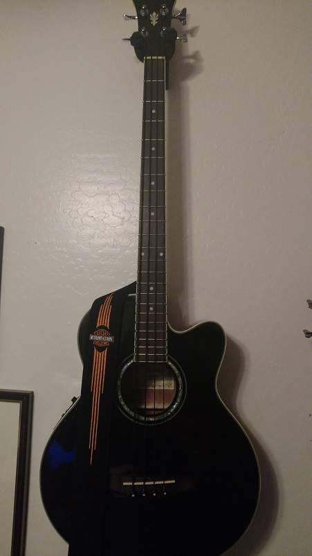 IbanezBlks.jpg