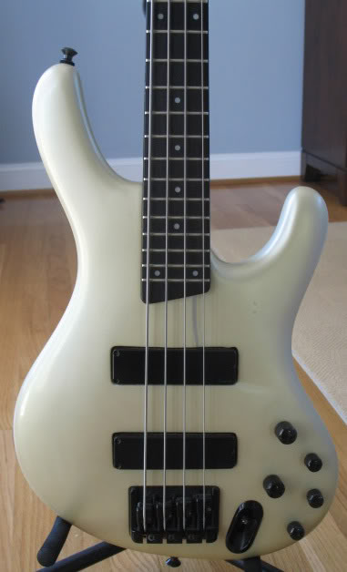 IbanezClose-Up.jpg
