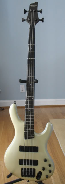 IbanezFullBody.jpg