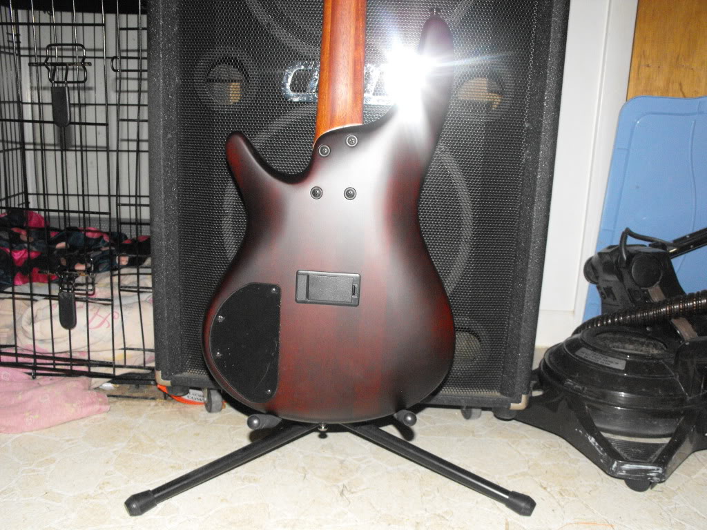 Ibanezguitars017.jpg