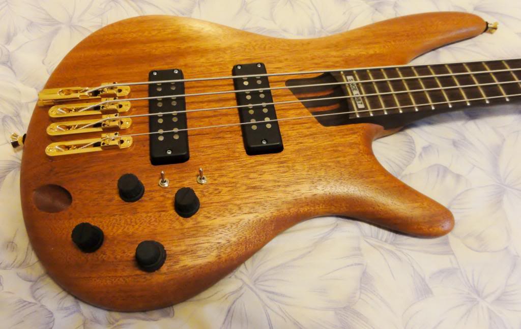 IbanezSR20th4009_zps702f4c6e.jpg