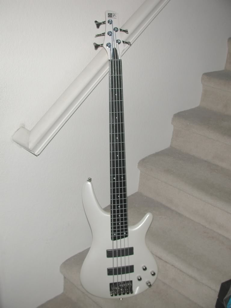 IbanezSR305V.jpg