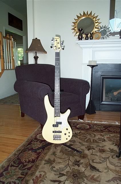 IbanezVWB1full-1.jpg
