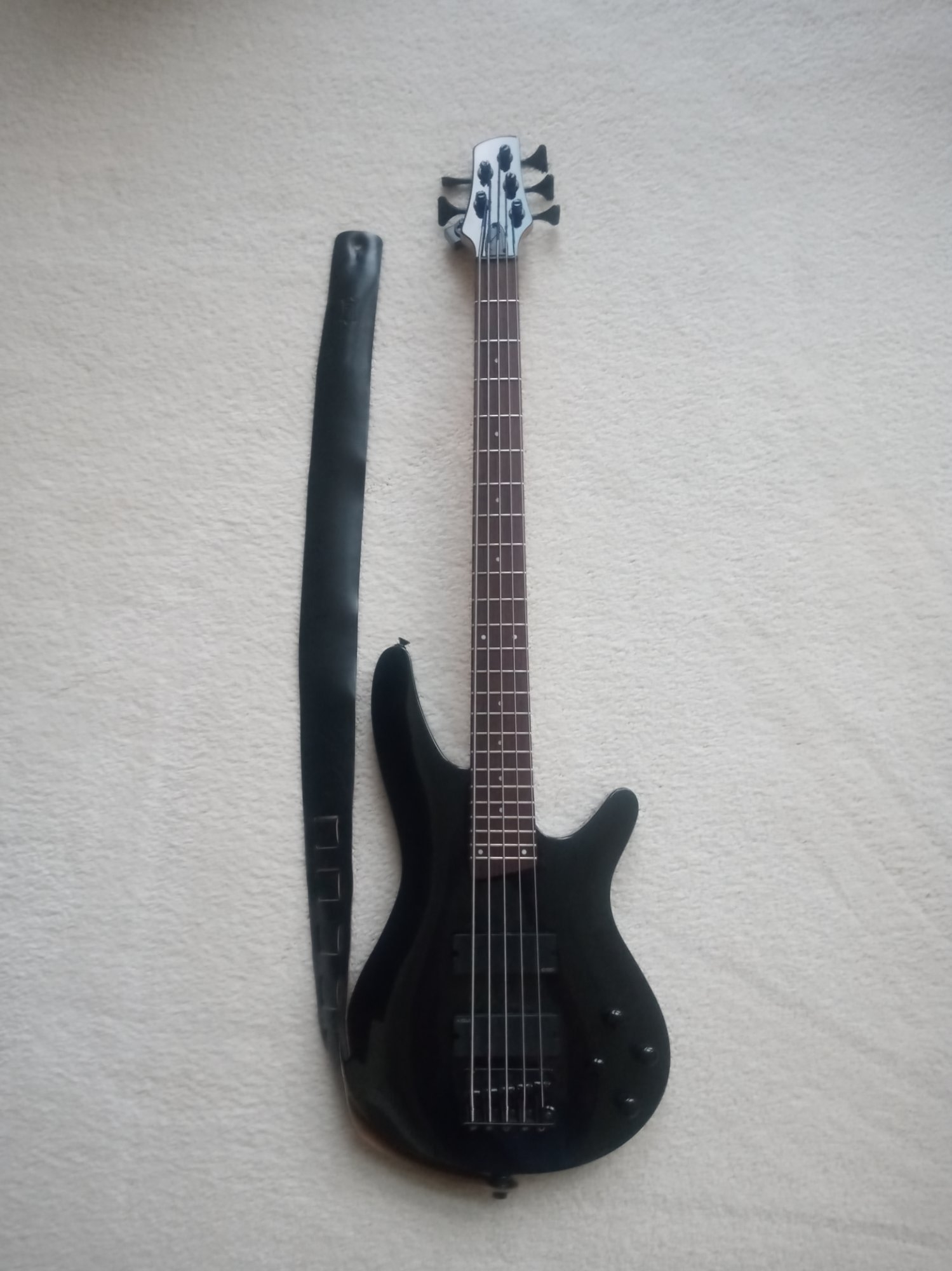 Ibby 5-er.jpg