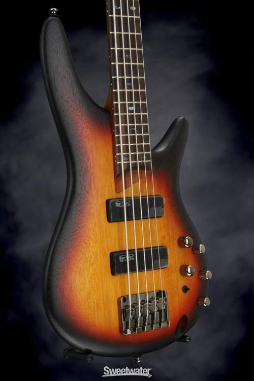 ibby5b.jpg