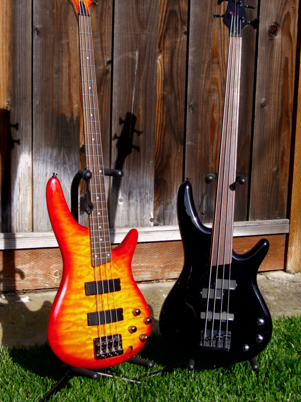 IbbyPair01e.jpg