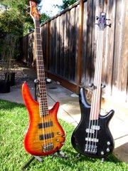 IbbyPair01j.jpg