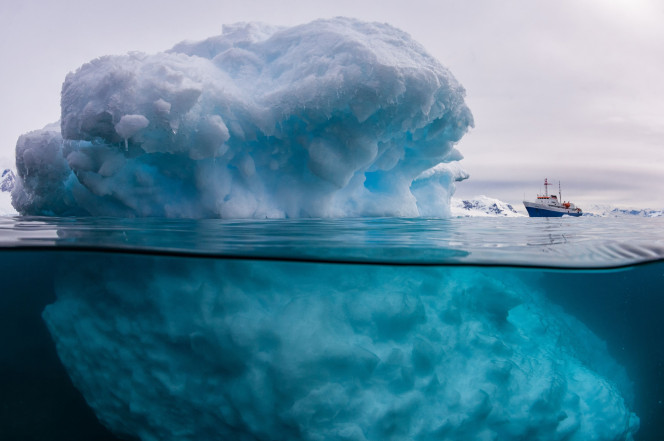 iceberg.jpg