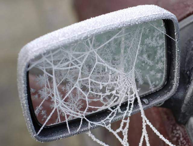 iced cobweb.jpg