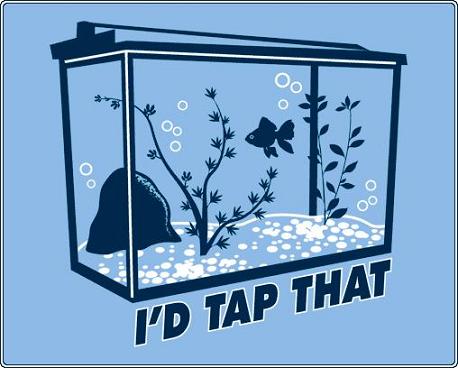 id-tap-that.jpg