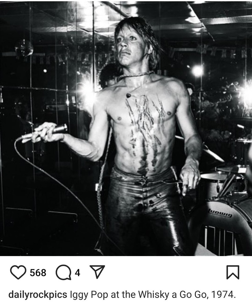 Iggy.jpg