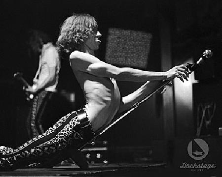 iggy_pop.jpg