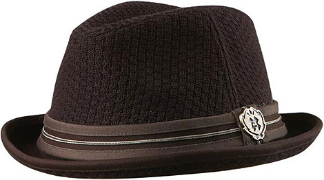 ignighted-fedora.jpg