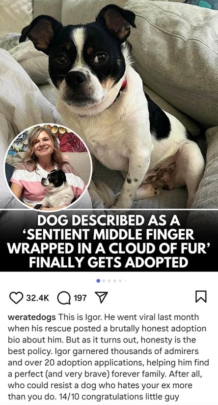 igor dog.jpg