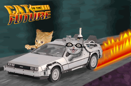 igqjf63rc5hvhfjucwso.gif