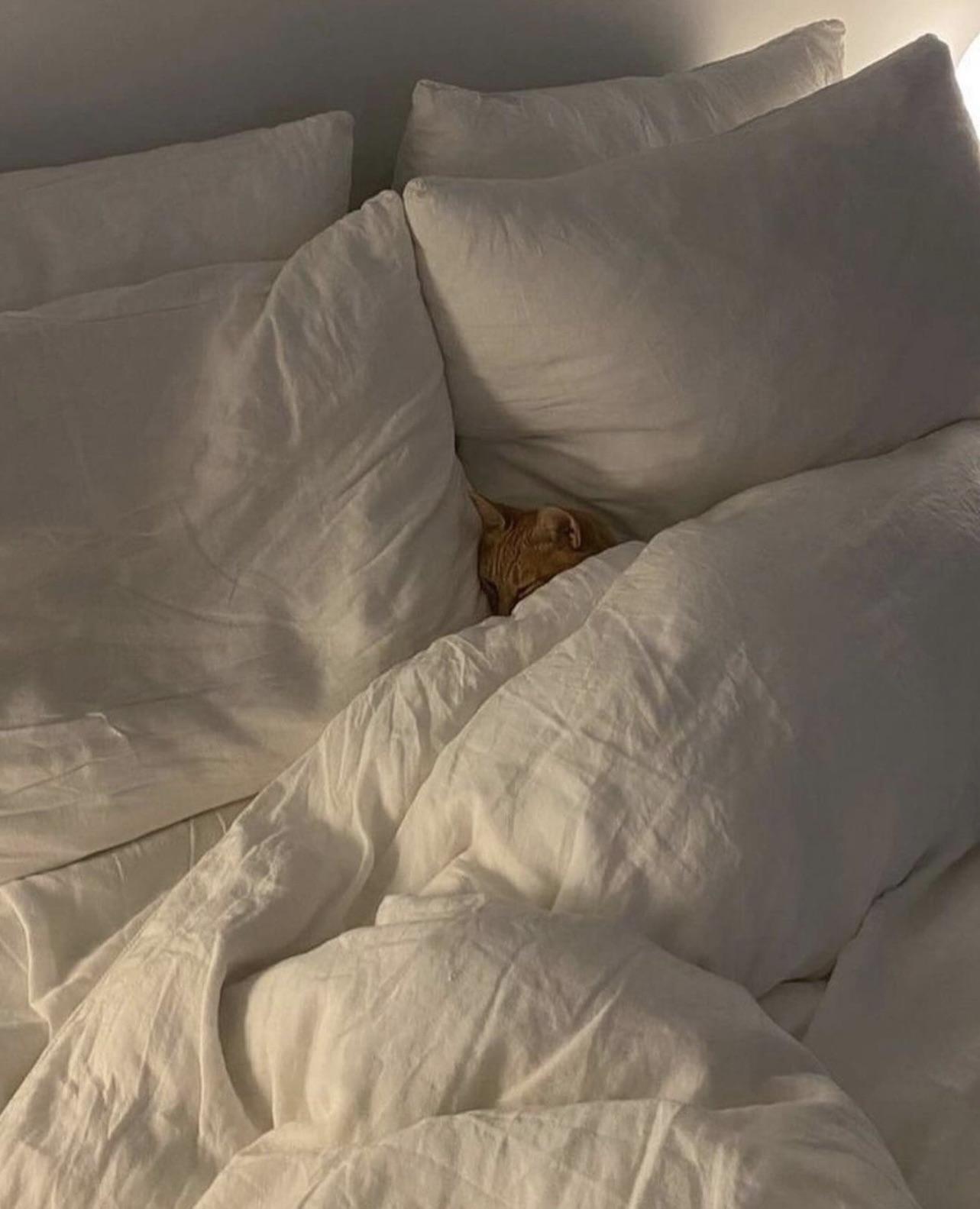 I'll keep your place warm..jpg