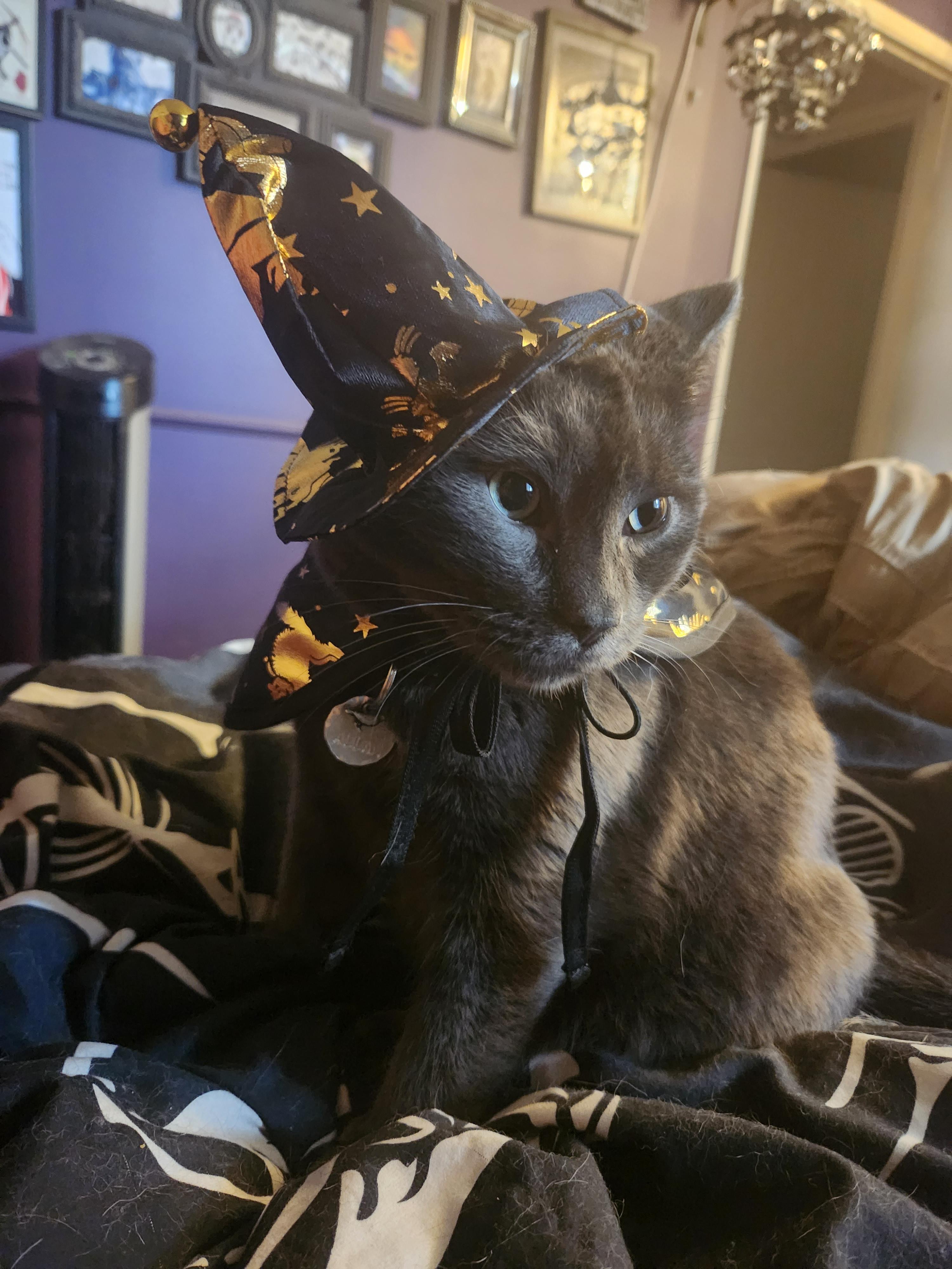 I'm spooky.jpg
