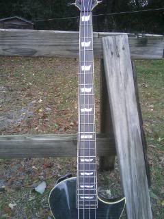 IMAG0017.jpg
