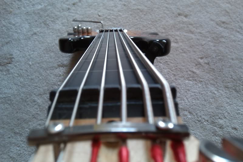 IMAG0035.jpg