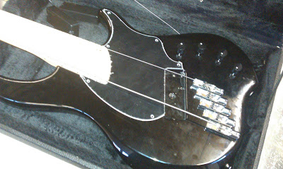 IMAG0040.jpg