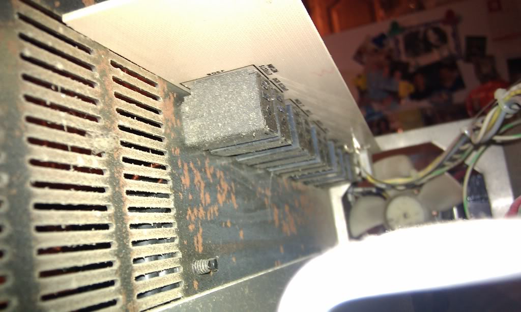 IMAG0049.jpg