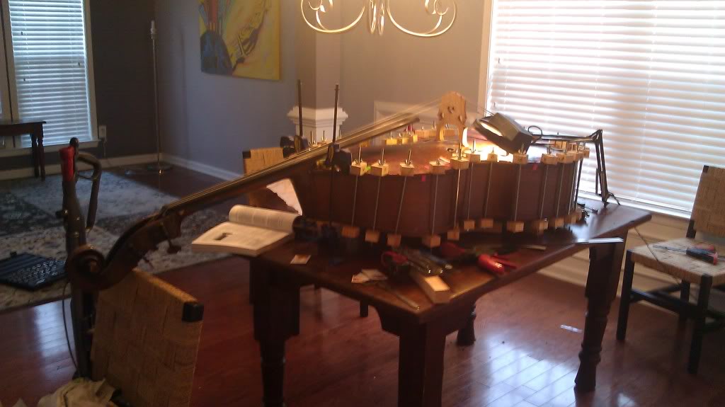 IMAG0054.jpg