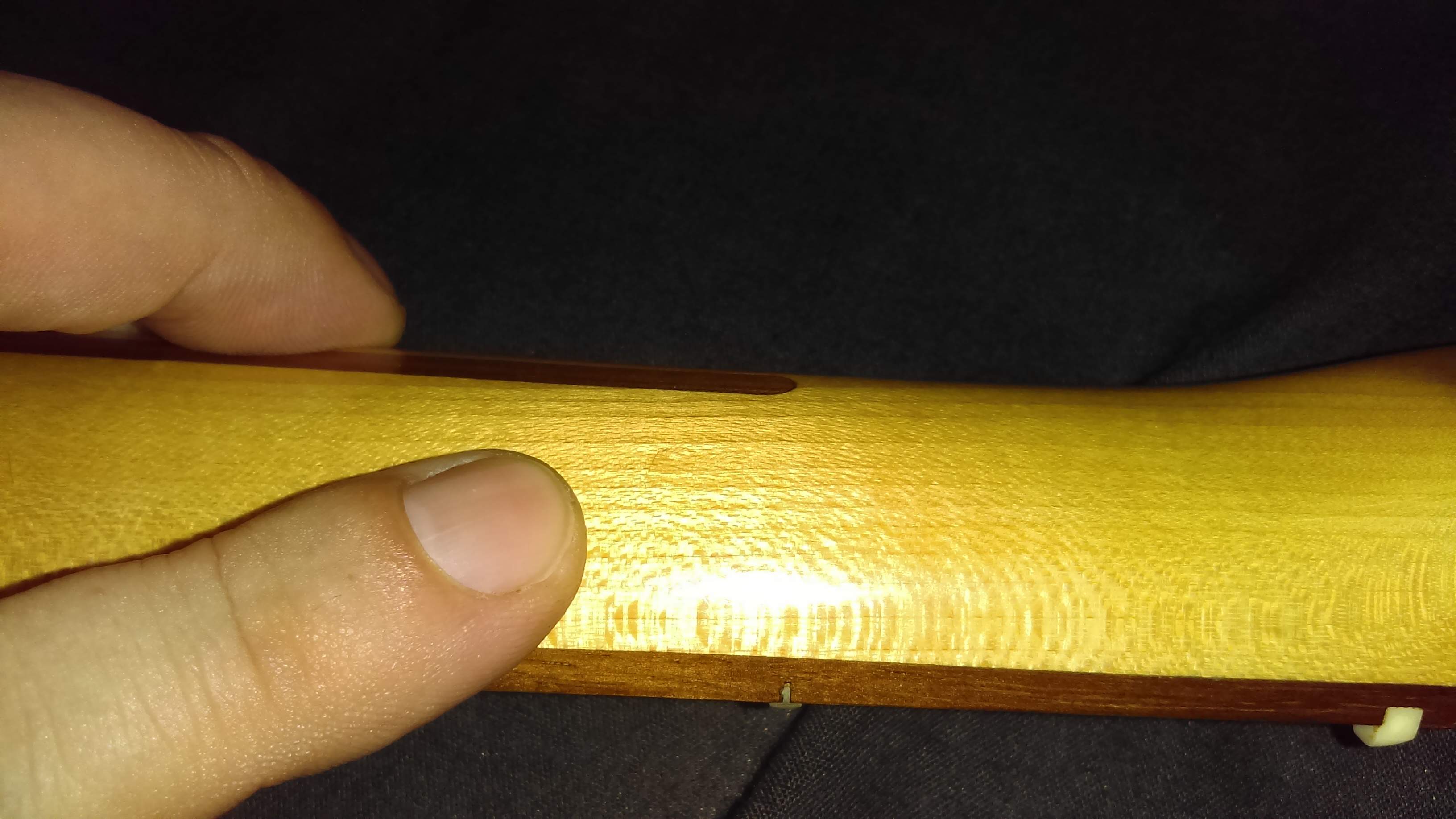 IMAG0055.jpg