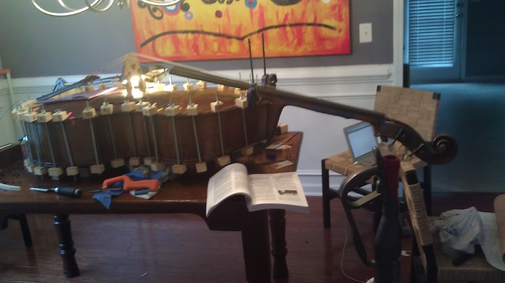 IMAG0056.jpg