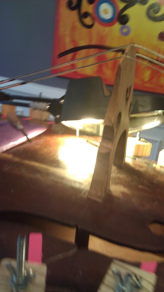 IMAG0057.jpg