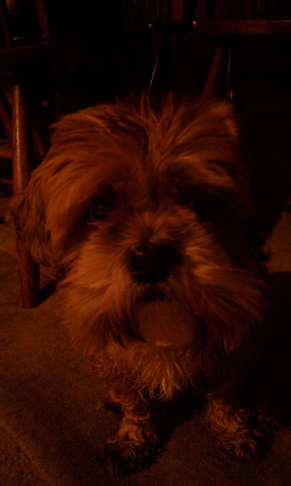 IMAG0057.jpg
