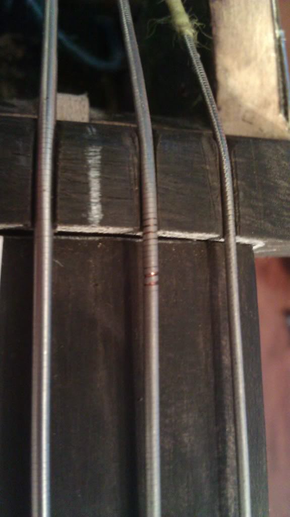 IMAG0058.jpg