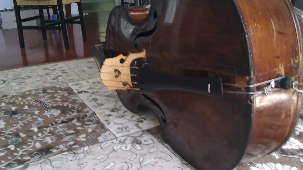 IMAG0071.jpg
