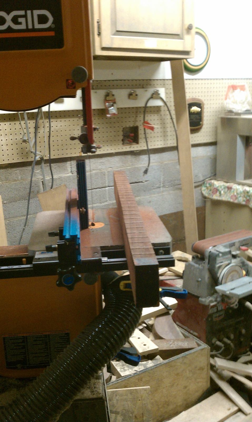 IMAG0072.jpg