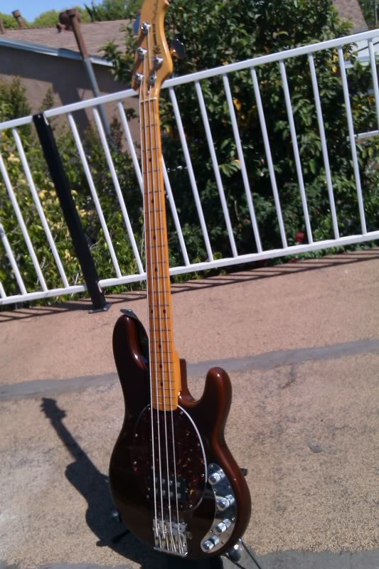 IMAG0081.jpg