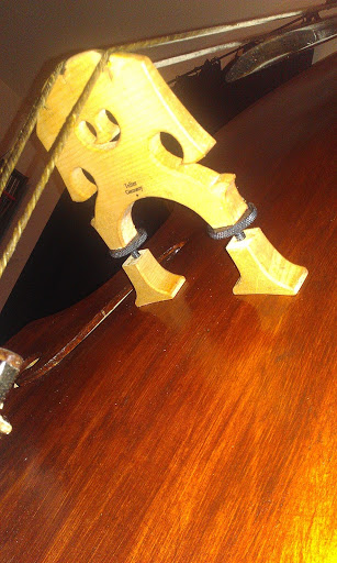 IMAG0092.jpg