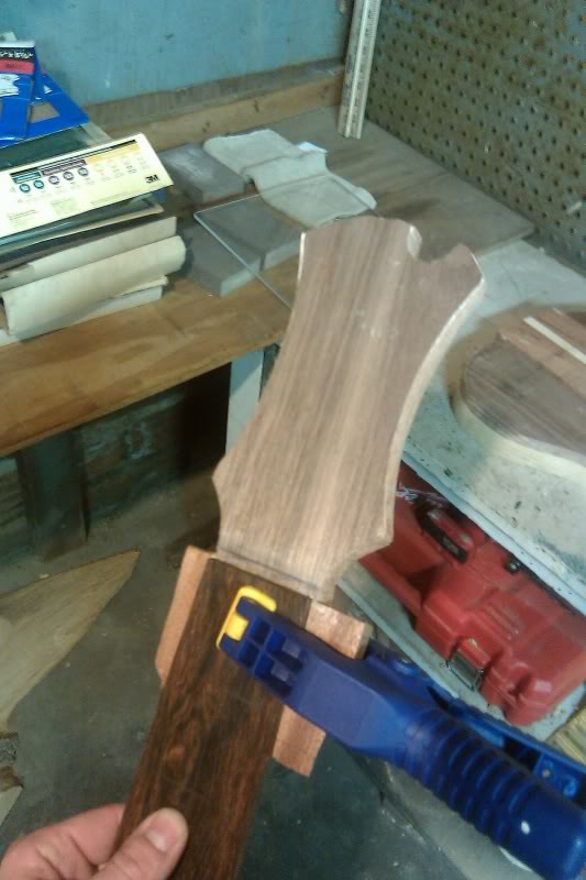 IMAG0097.jpg